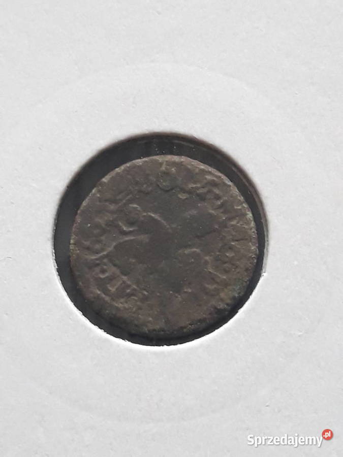 Szeląg Jan II Kazimierz 1661 r Konin