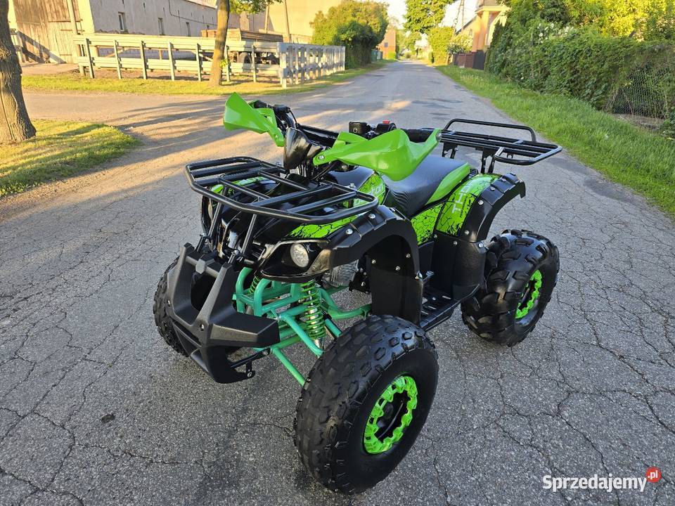 Quad Barton Thor 125cc Koła 8 z wstecznym stan Rok produkcji 2023 kujawsko-pomorskie Kruszwica