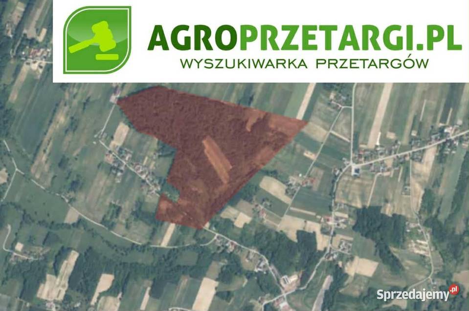 Dzierżawa 2523 ha gruntu rolnego Skarżysko-Kamienna sprzedam