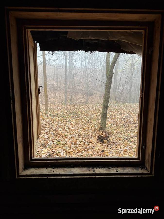 Na sprzedaż wyjątkowa działka 194 ha z domkiem Sprzedaż