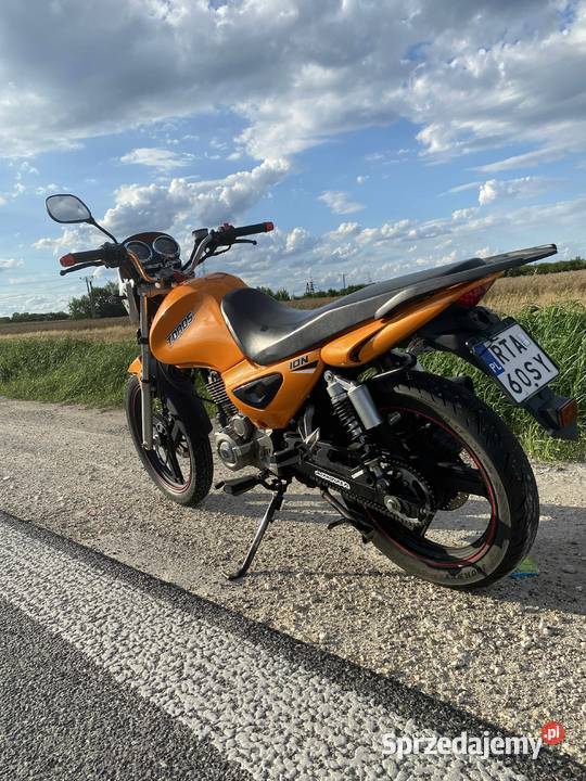 Zipp toros świętokrzyskie