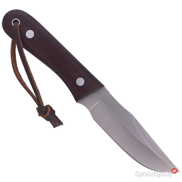 Nóż Muela Bison9NL Palisander Wood Satin Warszawa