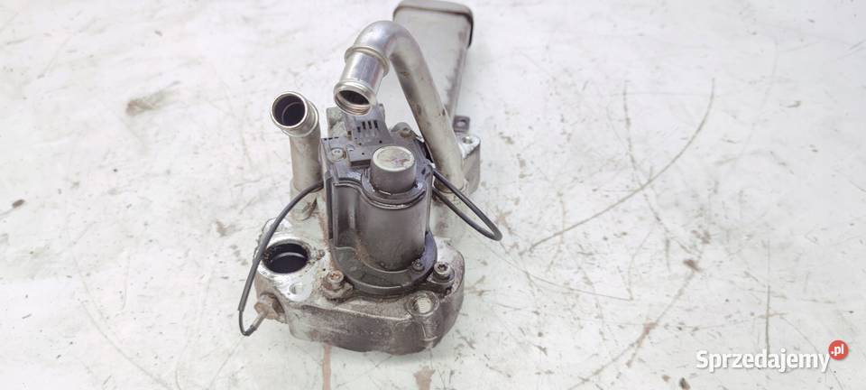 CHŁODNICA SPALIN EGR AUDI VW 20 TDI 03L131512AF osobowe Przystajń sprzedam