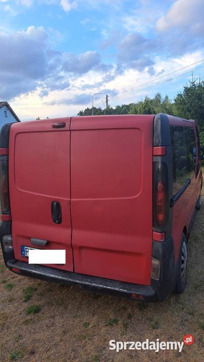 Renault Trafic 19 DCI Turek