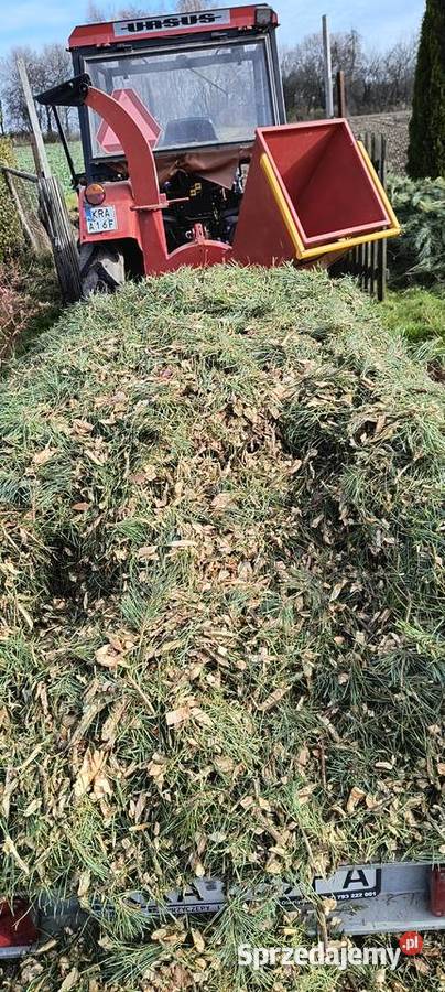 Rębak RT 630 Mników