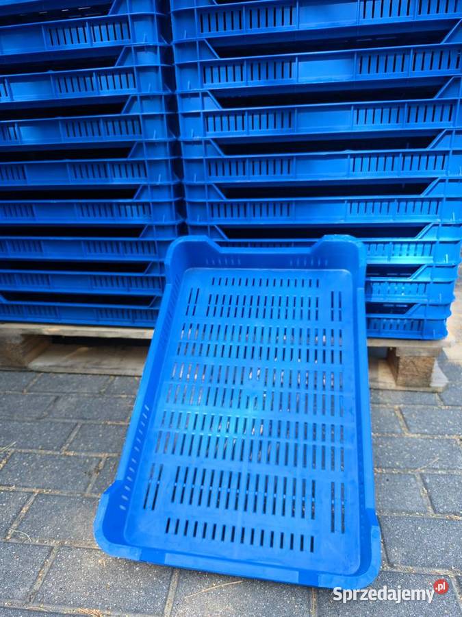 Skrzynki m 5 tzw malinówki duże ilości Sompolno