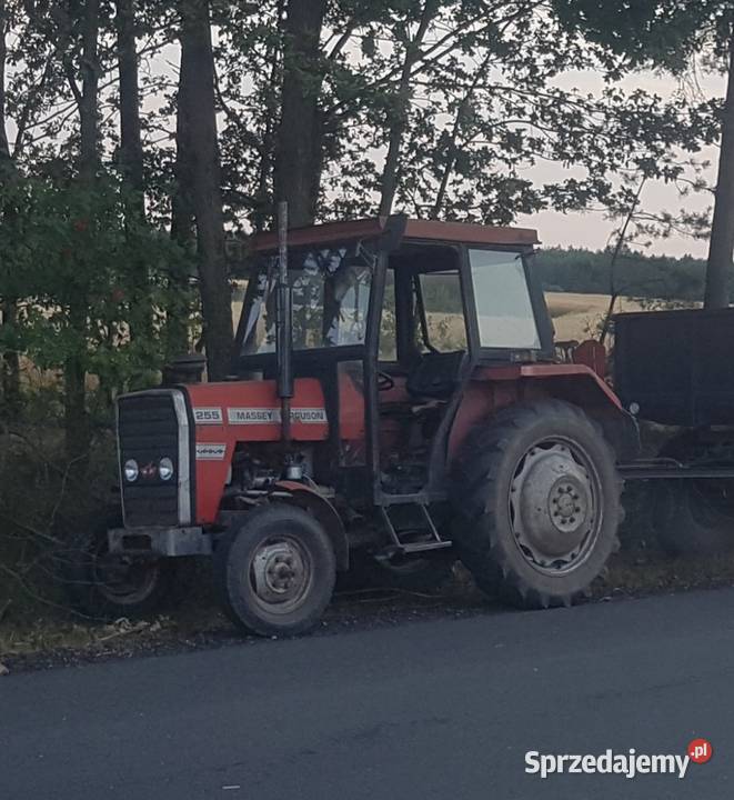 Massey ferguson 255 ursus 3512 c360 330 zetor Wieluń sprzedam