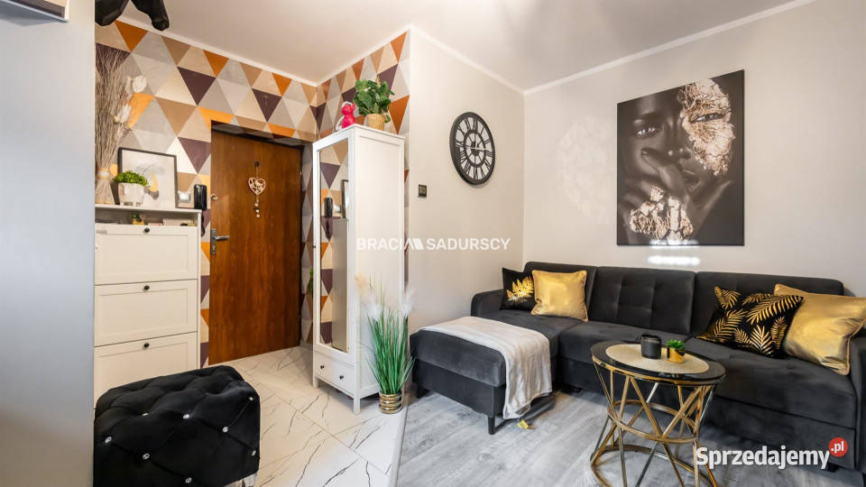 Mieszkanie 166m2 1pokojowe Kraków Majora Pilota