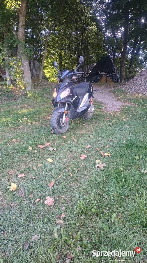 Skuter longija 50 Dąbrówka