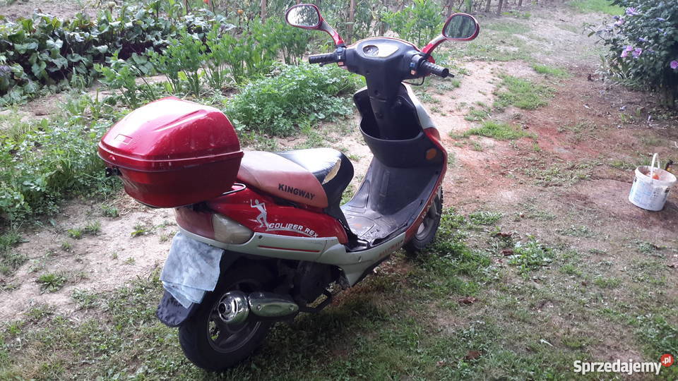 Skuter Kingway Coliber Rex Brzeźnica