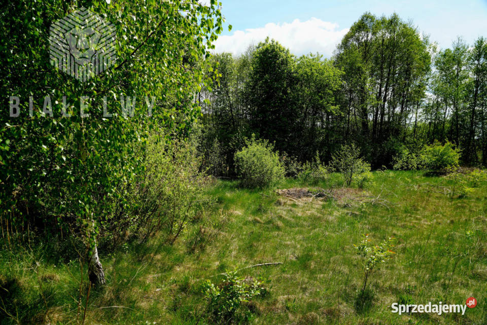 sprzedaży działki Nowe Borsuki 1200m2