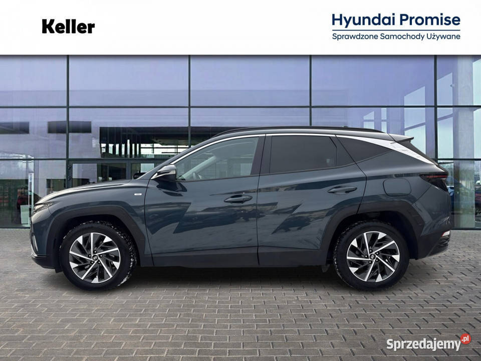 16T 48V 150 Krajowy Serwis ASO Automat Dealer Gliwice