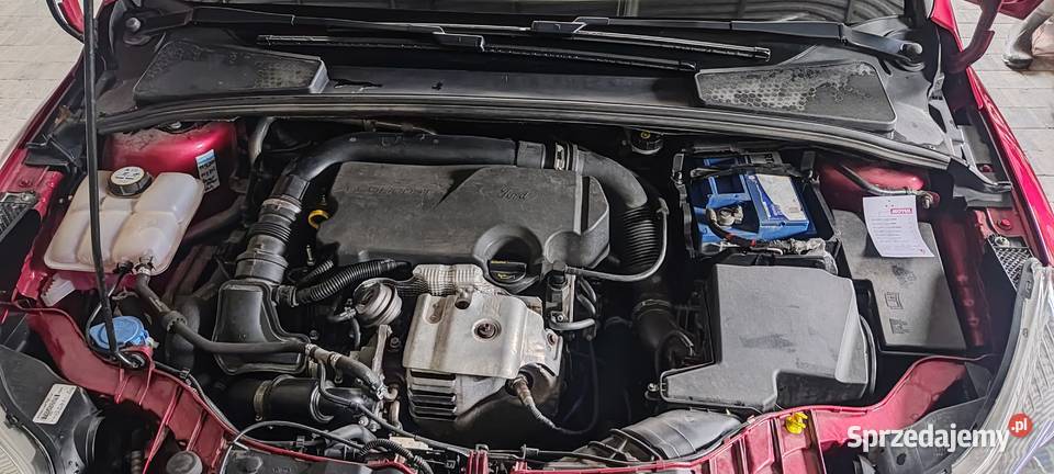 Ford Focus 2014r 10 ecoboost 125 koni 6 biegów 1000cm3 Focus wielkopolskie Słupia pod Kępnem