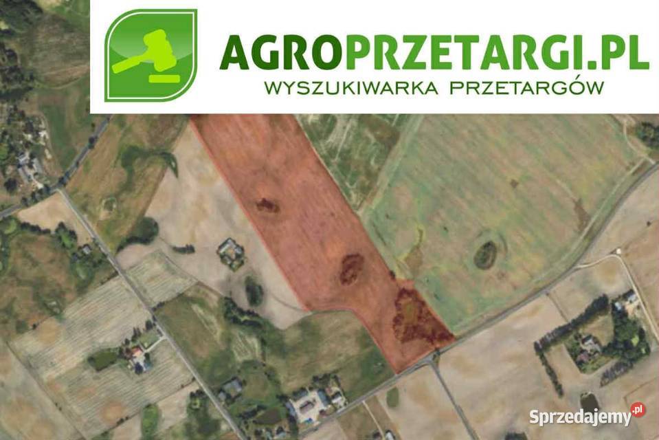 Dzierżawa 843 ha gruntu rolnego Rypin sprzedam