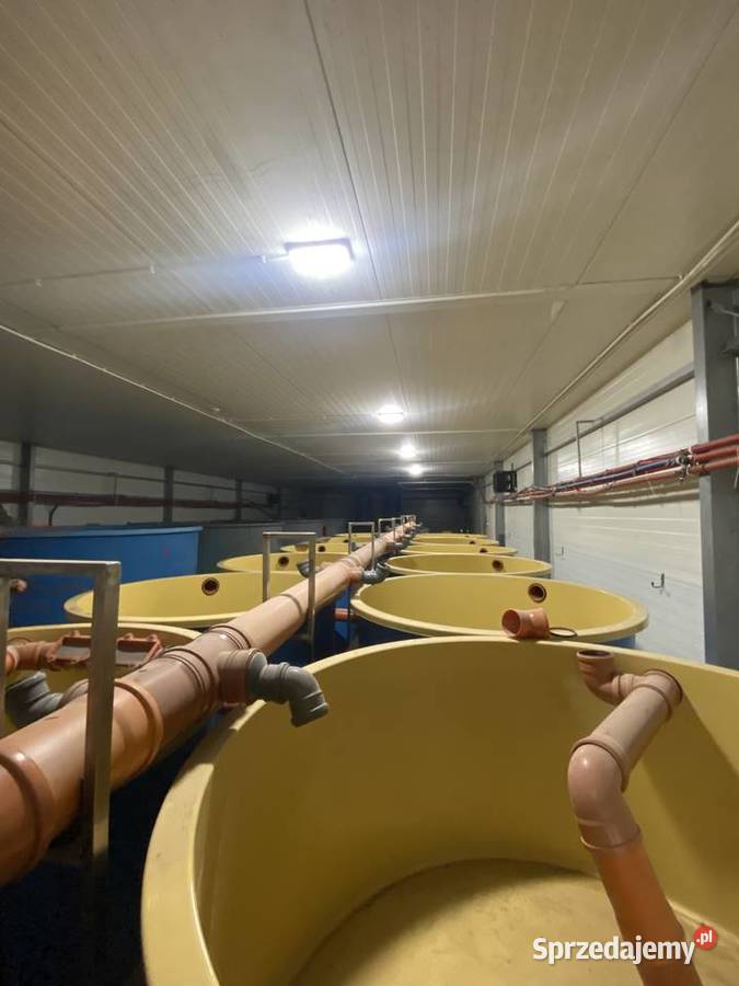 Hala produkcyjna Sprzedaż Komorowo