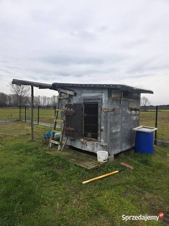 Golebnik gotowy do uzytku mazowieckie Obrąb
