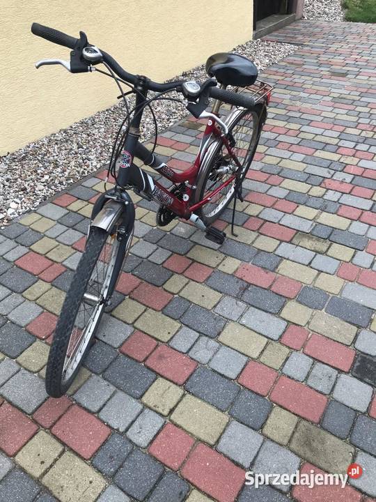 Rower Luna Rayon Wilczyn