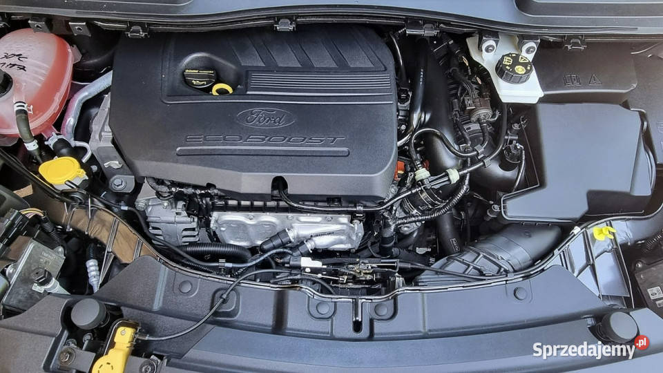 Ford Kuga Serwis Kamera Navi PółSkóry GWARANCJA światła przeciwmgielne mazowieckie Płońsk
