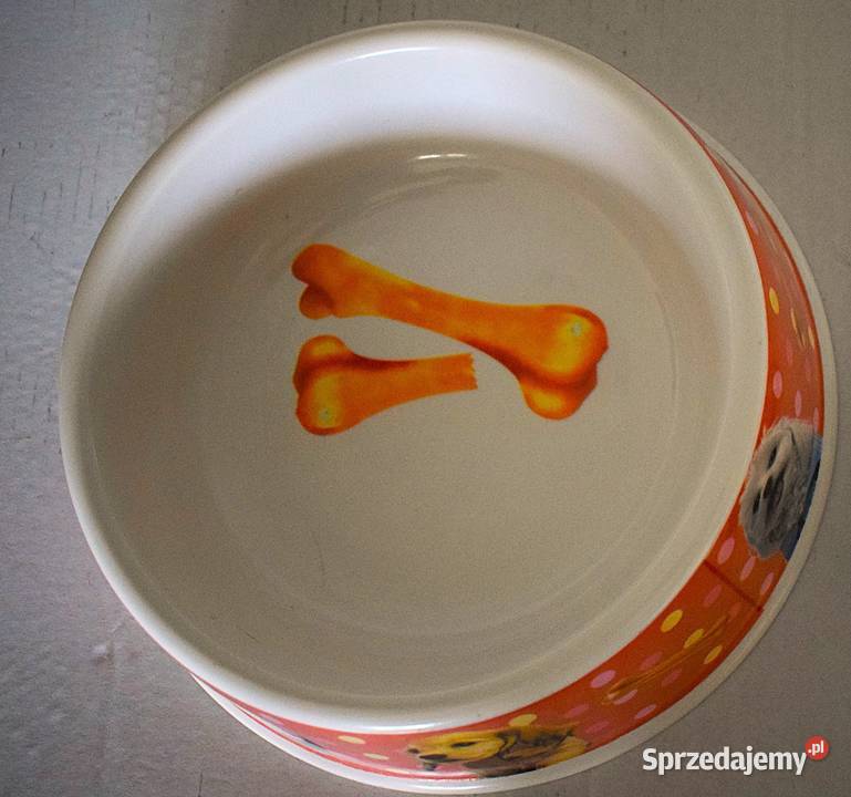 Dwie kolorowe miski pieska Chełmno