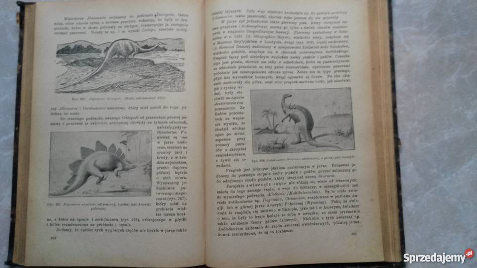 Zasady Geologji WFriedberg 1923 r podkarpackie Jarosław