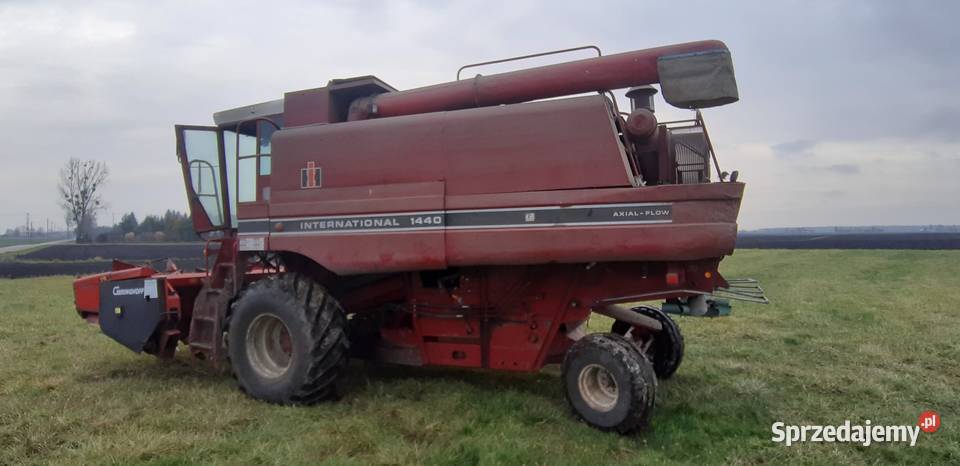 Case 1440 Hrubieszów sprzedam