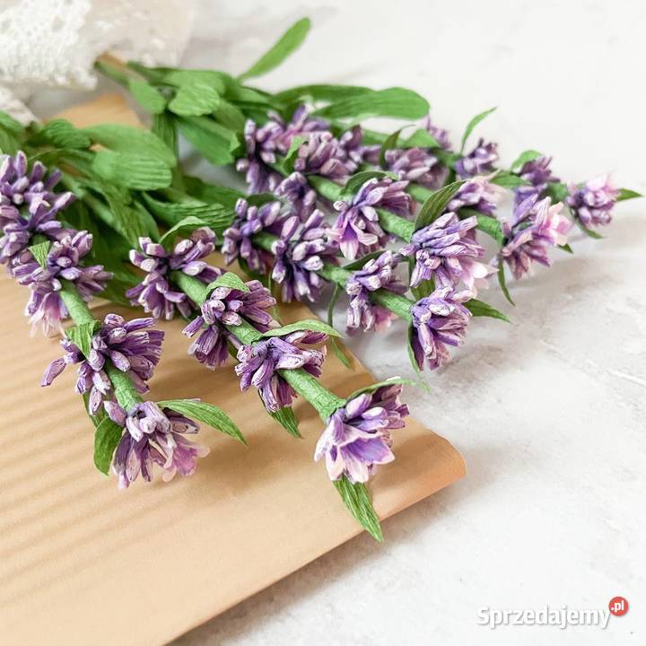 Lawenda z krepiny włoskiej Zielona Góra sprzedam