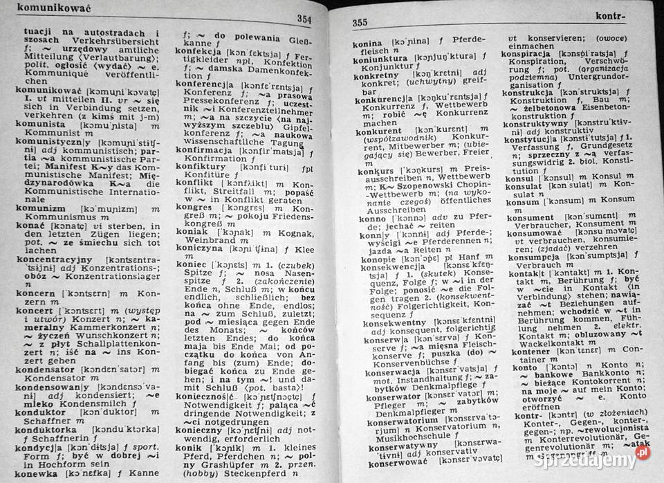 Kieszonkowy słownik niemieckopolski Pozostałe