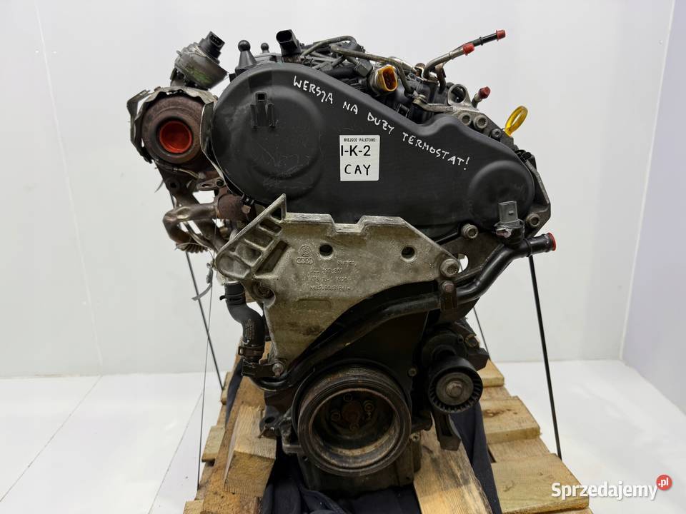 SILNIK CAY VW Beetle Jetta III Audi A1 8X A3 8P1 osobowe Chełm