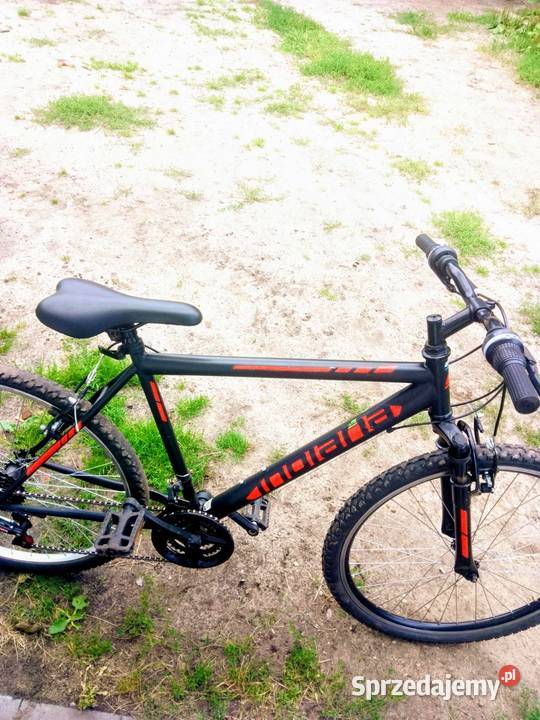 Rower górski MTB INDIANA XPulser 16 M19