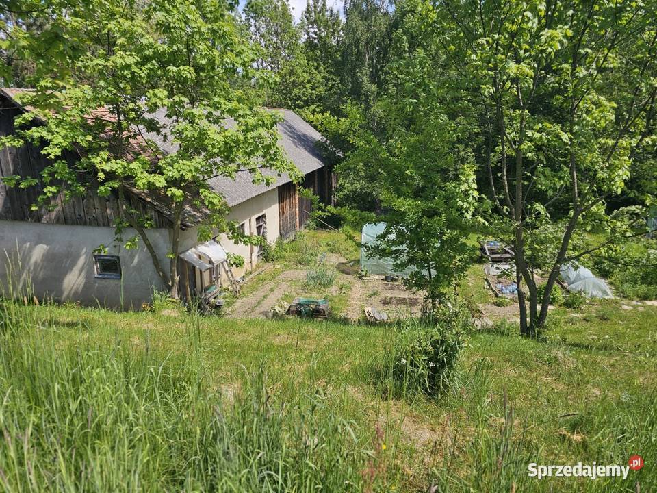 Syndyk sprzeda udział 14 w domu w Wolicy 24669m2 Bukowsko