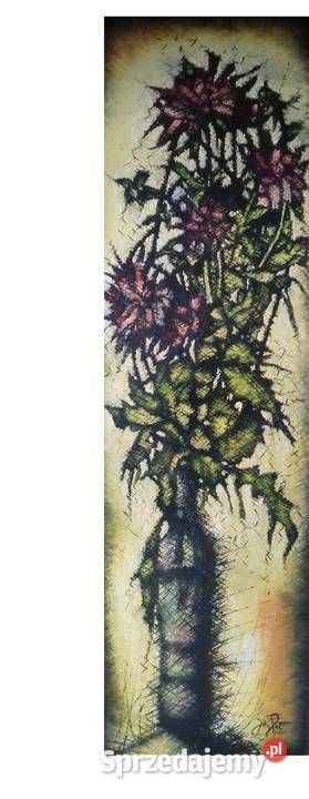 Fioletowe Georginie Ekscytujące Jarosław