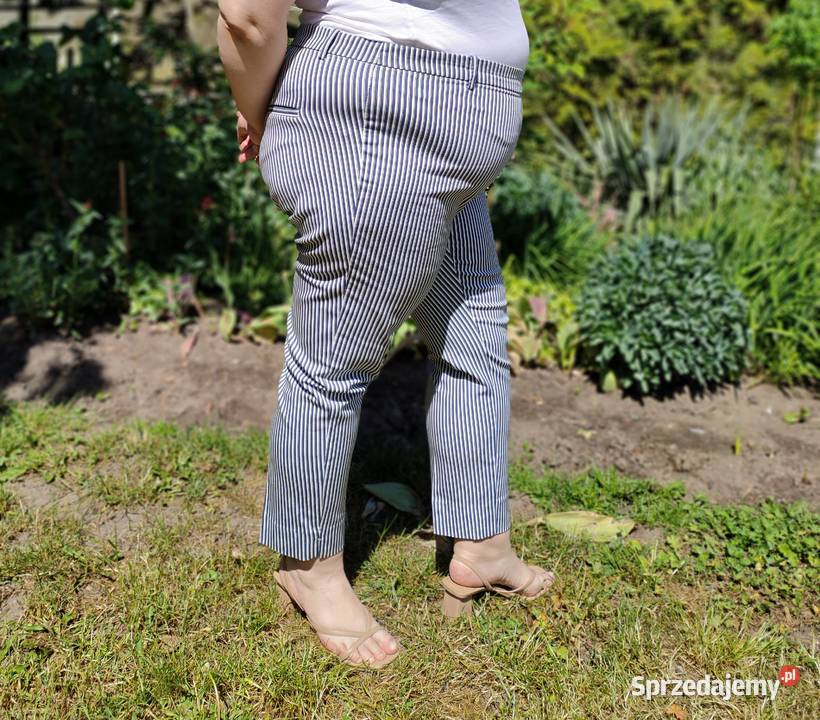 Spodnie HM 50 5XL plus size cygaretki w kant w Rozmiar 50 Szczecin
