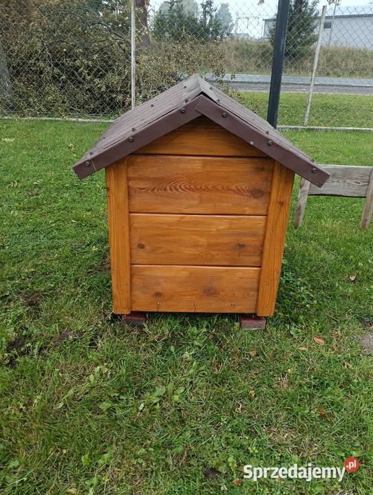 Buda średniego psa mazowieckie Siedlce