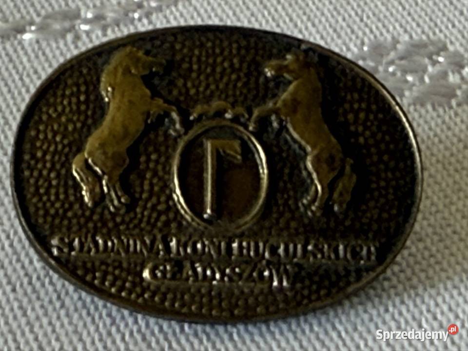 Metalowa Broszka Odznaka Stadnina Koni Czerwionka-Leszczyny