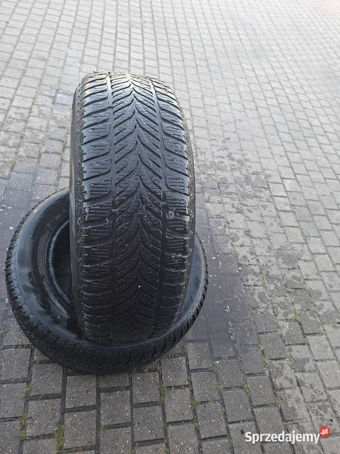 opony 2156516 r DĘBICA FRIGO MS nie naprawiane śląskie Rybnik