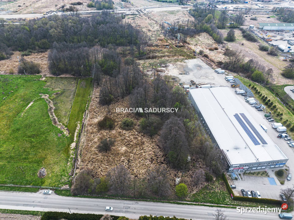 Działka Brzezie 11900m2 Sprzedaż
