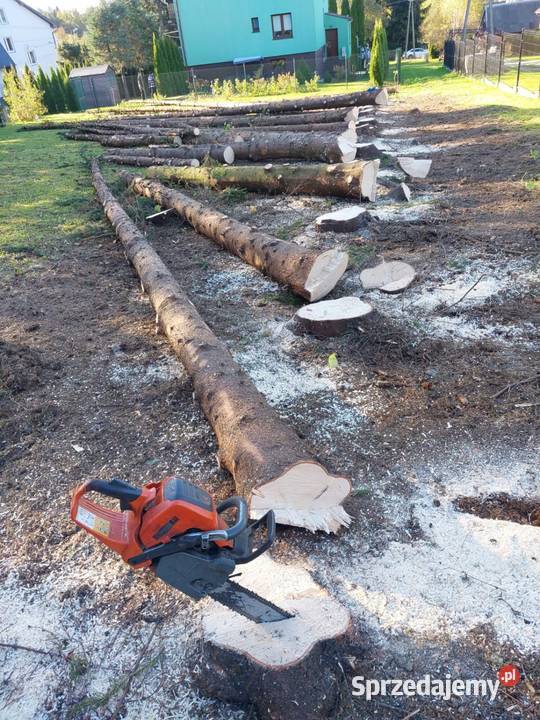 Wycinka ścinka drzew czyszczenie działek usługi