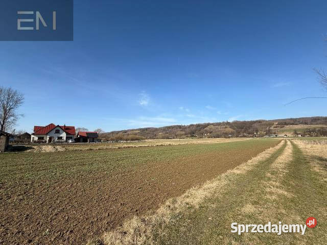 Grunt 3000m2 Godowa sprzedam