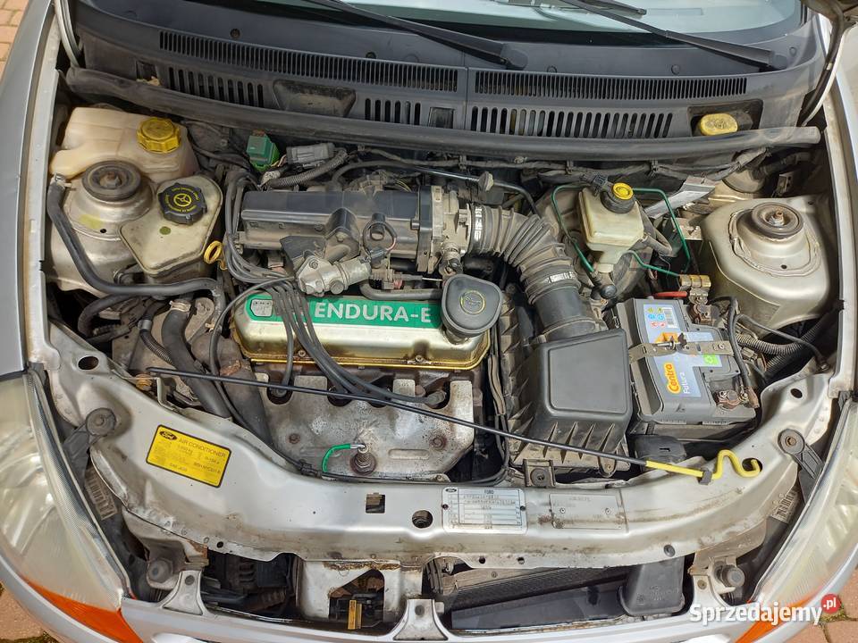 FORD KA 2001r 13 benz Klimatyzacja 72 Przebieg KA Gliwice