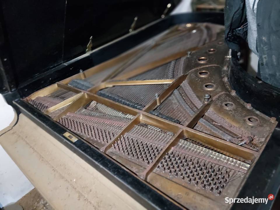 Fortepian z piwnicy Babci opolskie Opole