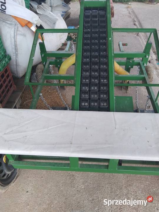 sadzarka do czosnku zachodniopomorskie