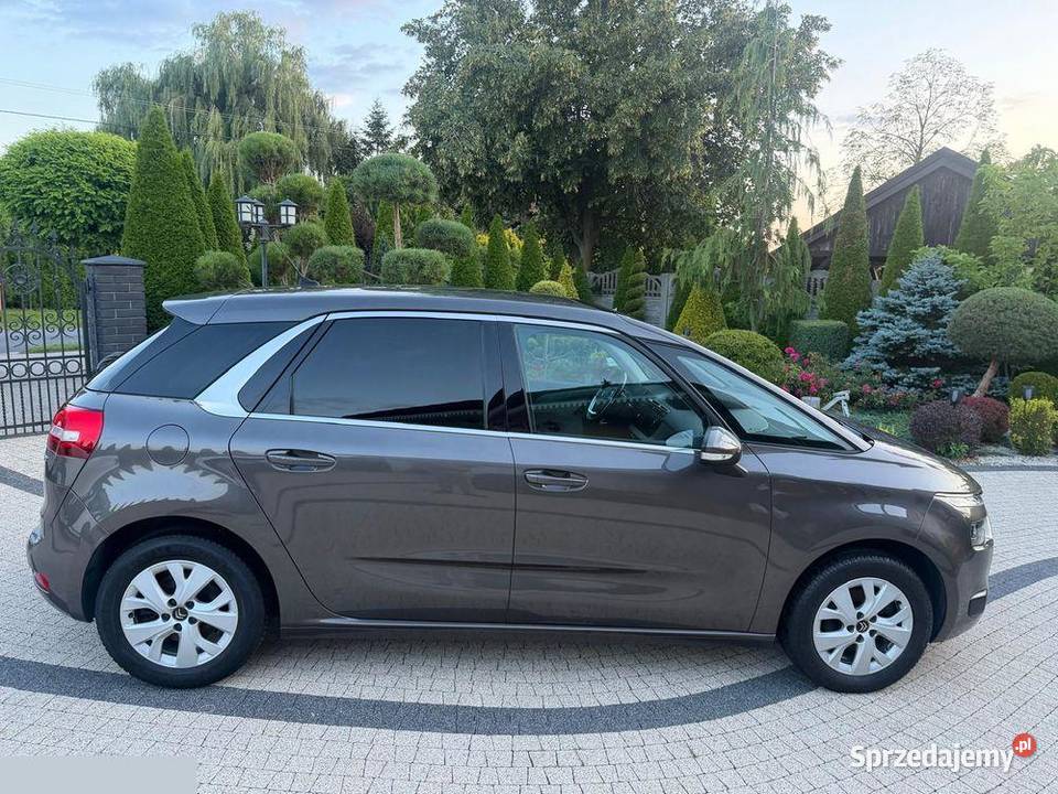 Citron C4 Picasso 16 BlueHDi 120 Exclusive 2016r Krotoszyn