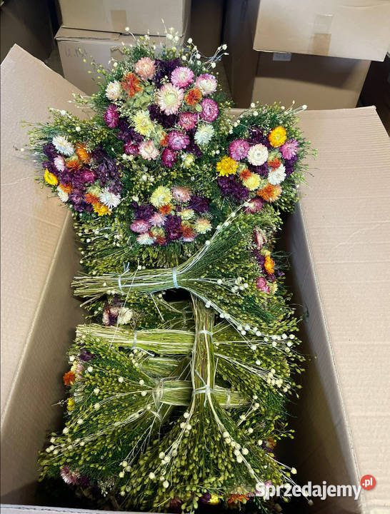 Naturalny kanar pęczki zbóż zasuszonych kłosy lubelskie Lublin