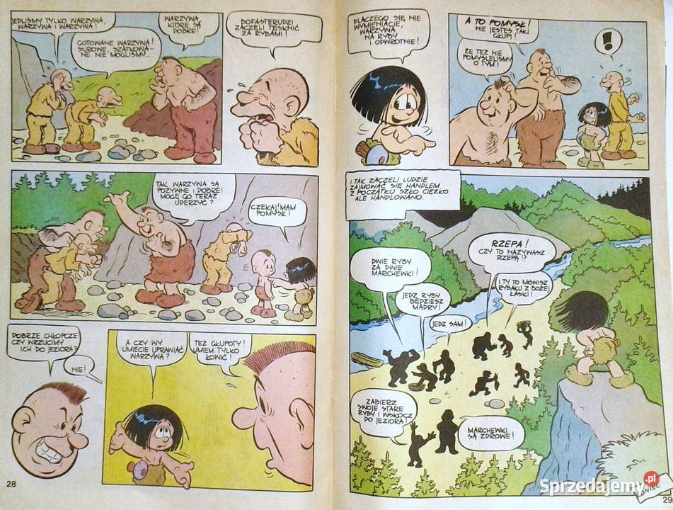 Goliat W krainie Krumeluntów Kamień kar 021991 lubelskie Chełm