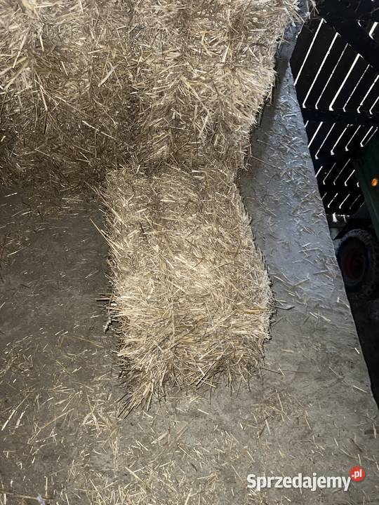 Słoma Pszenna 2025 Trawy, słoma małopolskie Kwaczała sprzedam
