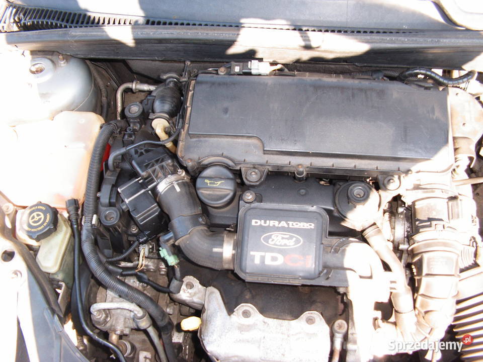 Ford Fiesta 14 TDCI 2007 r Września