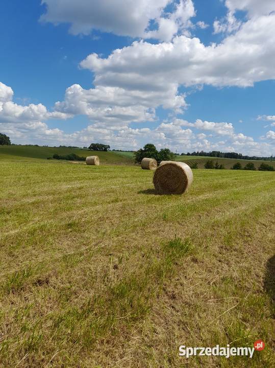 Bele Siana Bele siana 120x120 siano ekologiczne