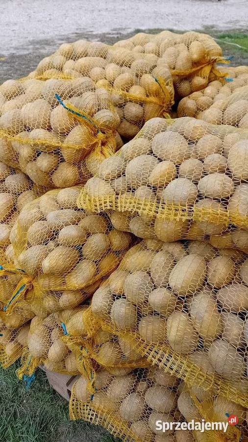 Sprzedam ziemniaki odmiana SORAYA ręcznie małopolskie Miechów