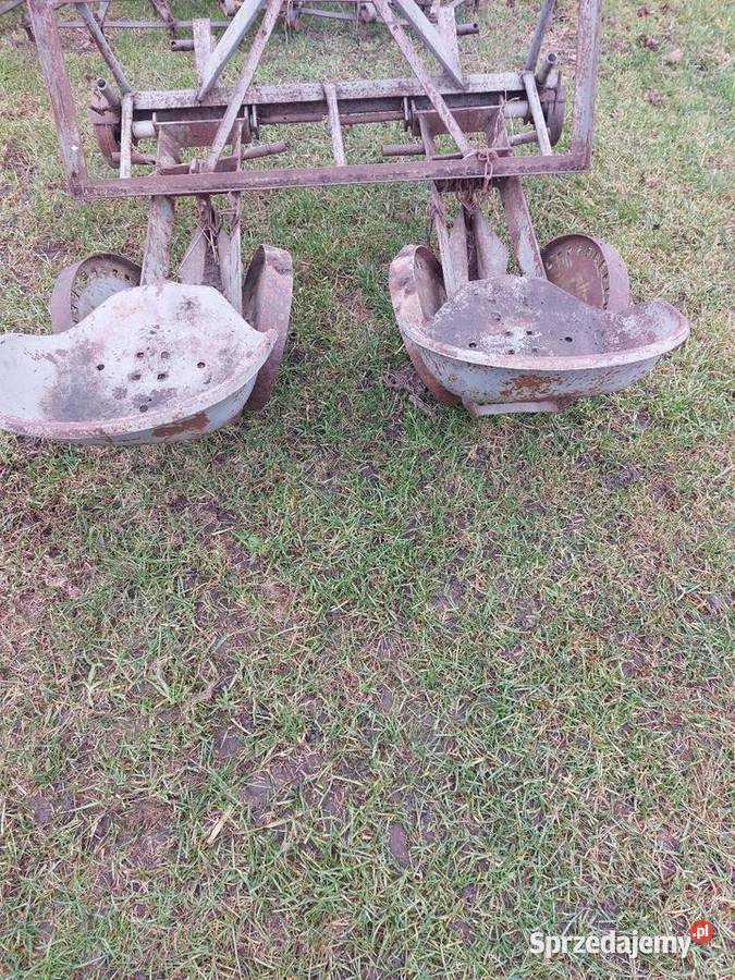 Sadzarka do warzyw rozsady truskawek Łosice sprzedam