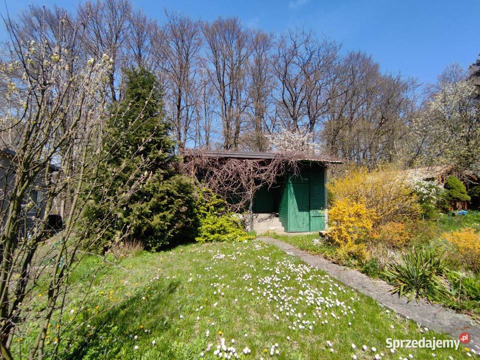 Działka ROD Łagiewniki Domek piwnica media prąd Łódź